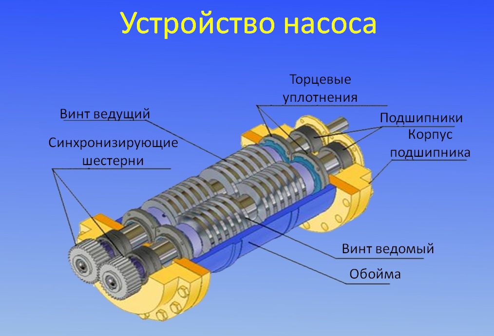 Устройство двухвинтового насоса Устройство двухвинтового насоса
